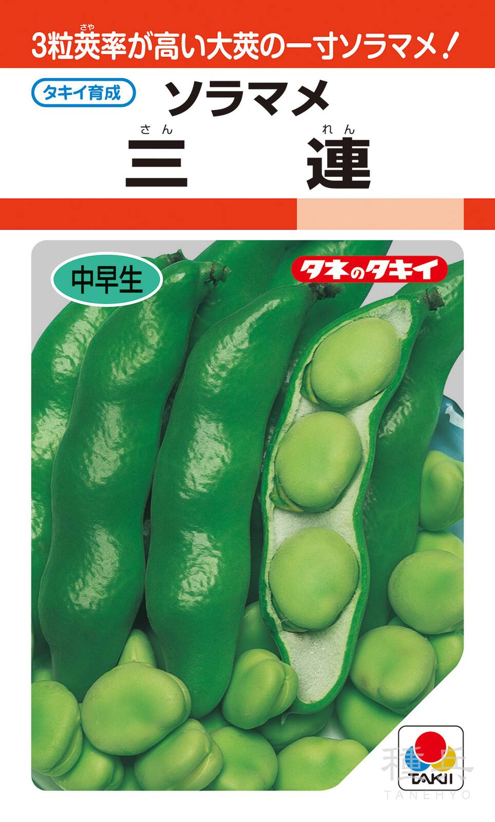 一寸ソラマメ 種 『三連』 ASM130 タキイ種苗