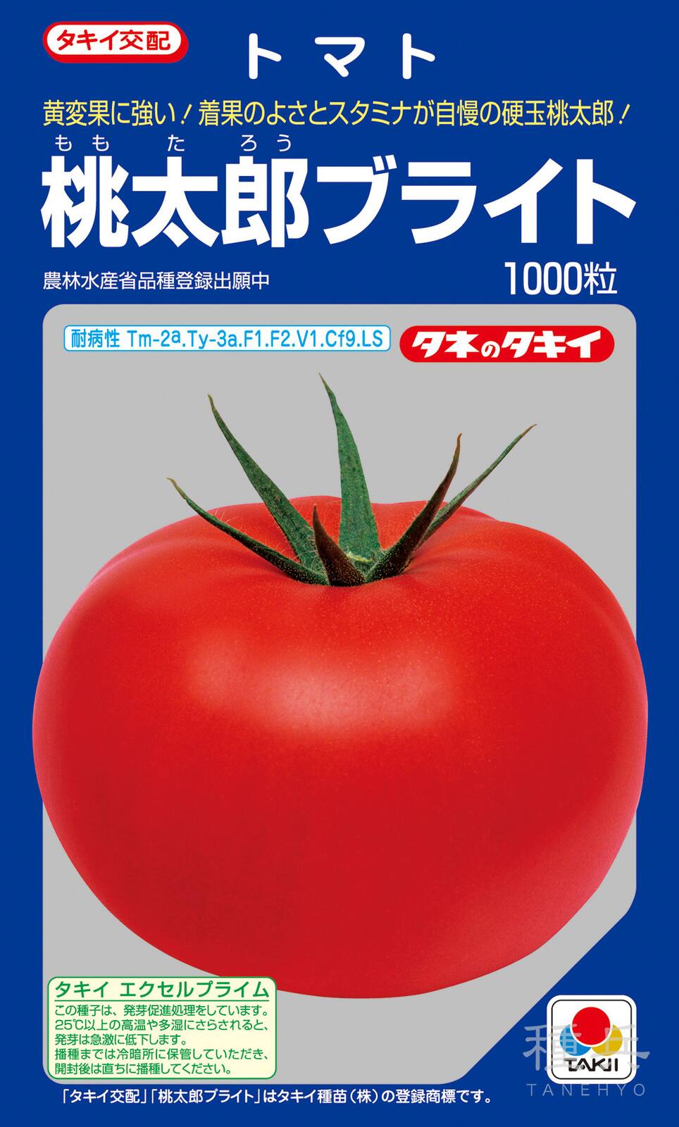 桃太郎系（ハウス）トマト 種 『桃太郎ブライト』 ATM09G タキイ種苗