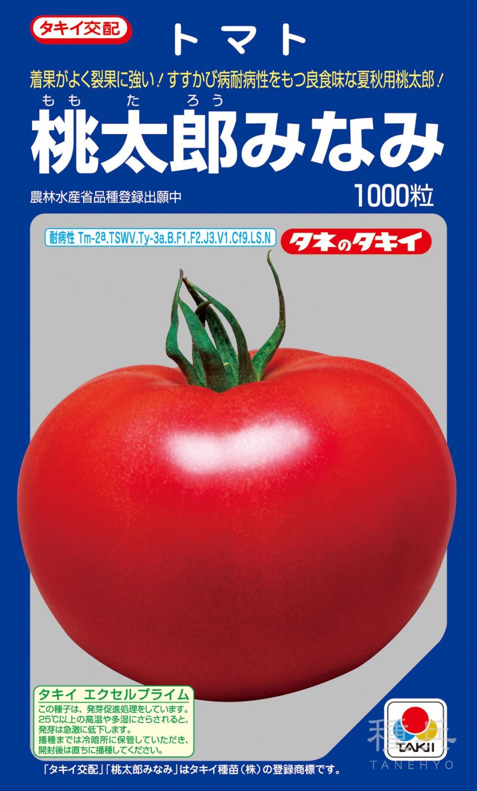 桃太郎系（夏秋）トマト 種 『桃太郎みなみ』 ATM04R タキイ種苗