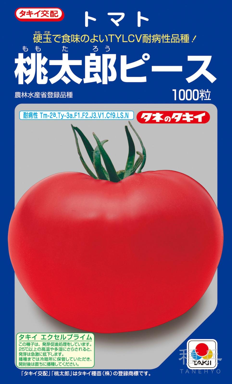 桃太郎系（ハウス）トマト 種 『桃太郎ピース』 ATM06N タキイ種苗