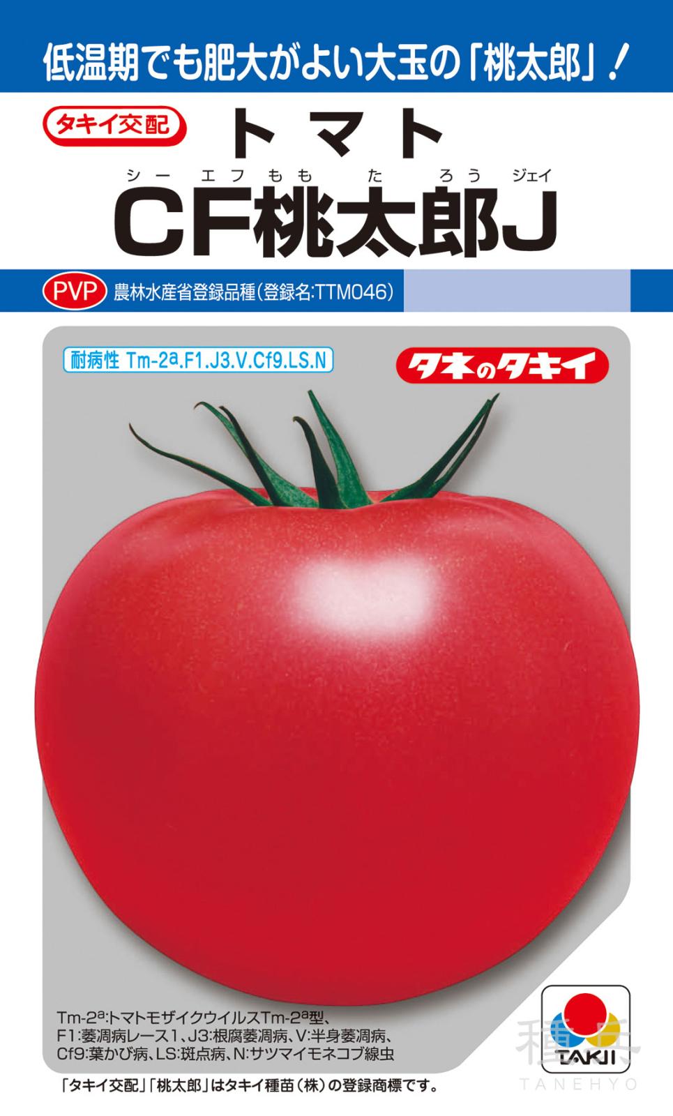 桃太郎系（ハウス）トマト 種 『CF桃太郎J』 ATM02R タキイ種苗