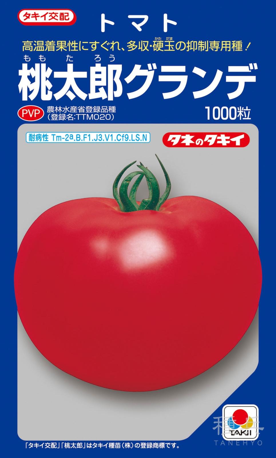 桃太郎系（ハウス）トマト 種 『桃太郎グランデ』 ATM01W タキイ種苗