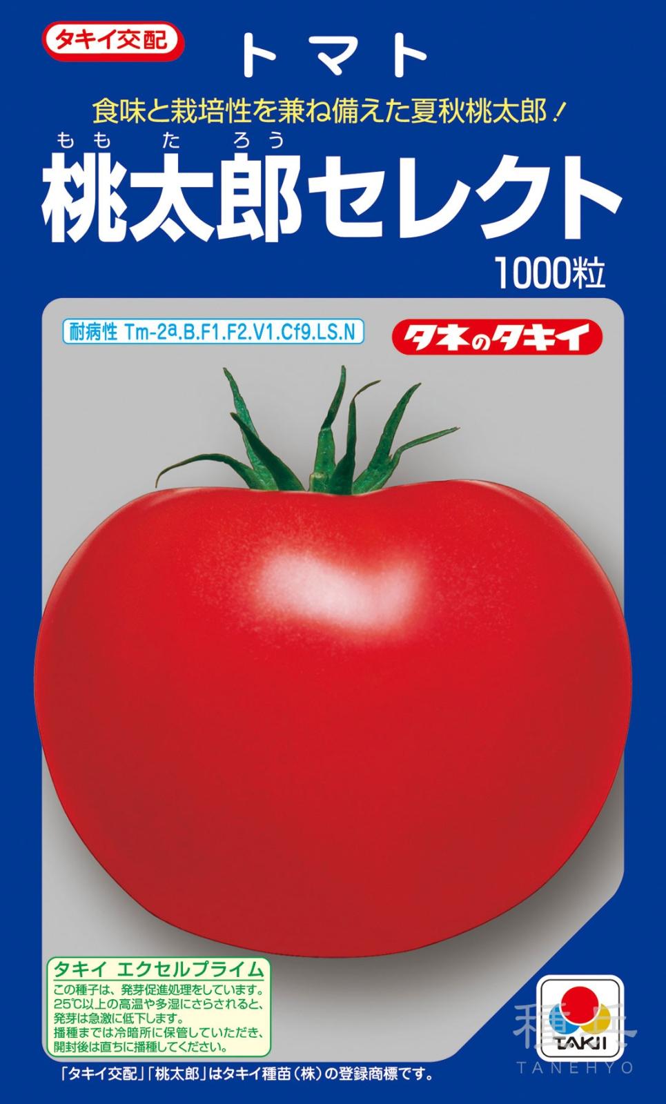 桃太郎系（夏秋）トマト 種 『桃太郎セレクト』 ATM01X タキイ種苗