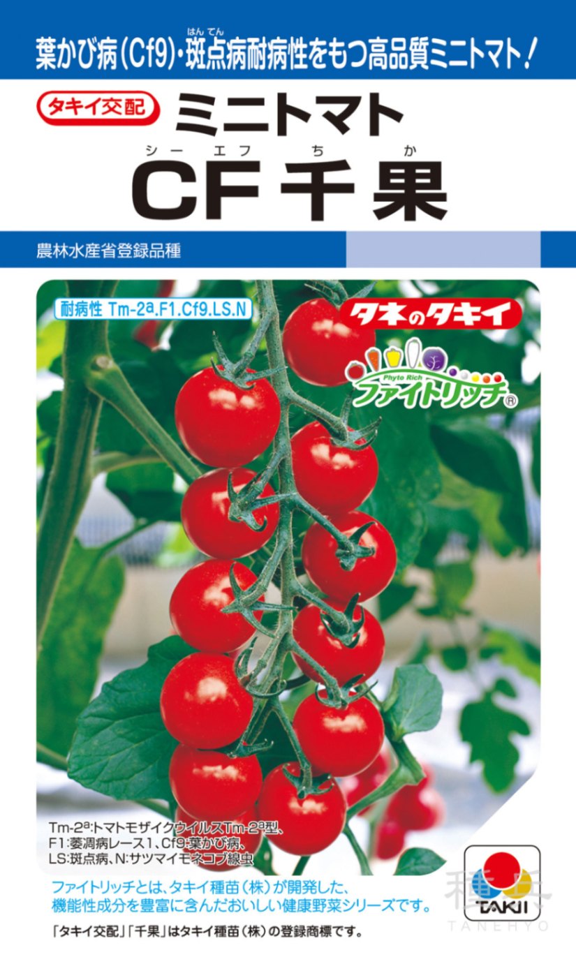 ミニトマト 種 『CF千果』 ATM01R タキイ種苗 | たね,果菜の種,トマト