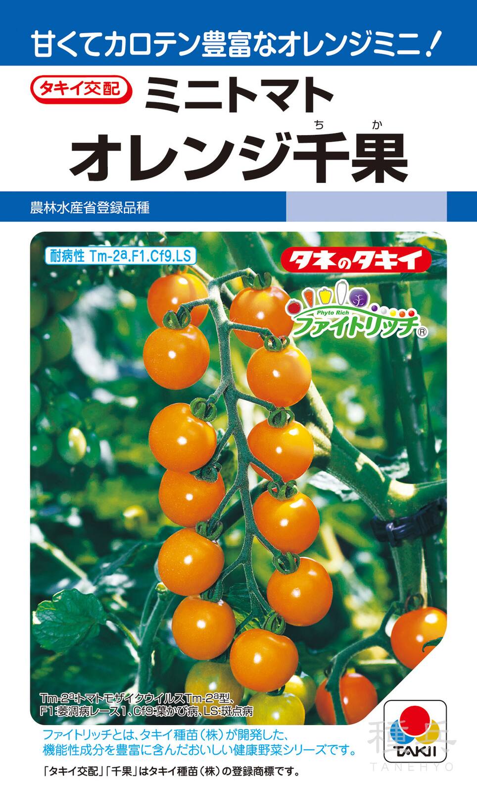 ミニトマト（イエロー） 種 『オレンジ千果』 ATM067 タキイ種苗