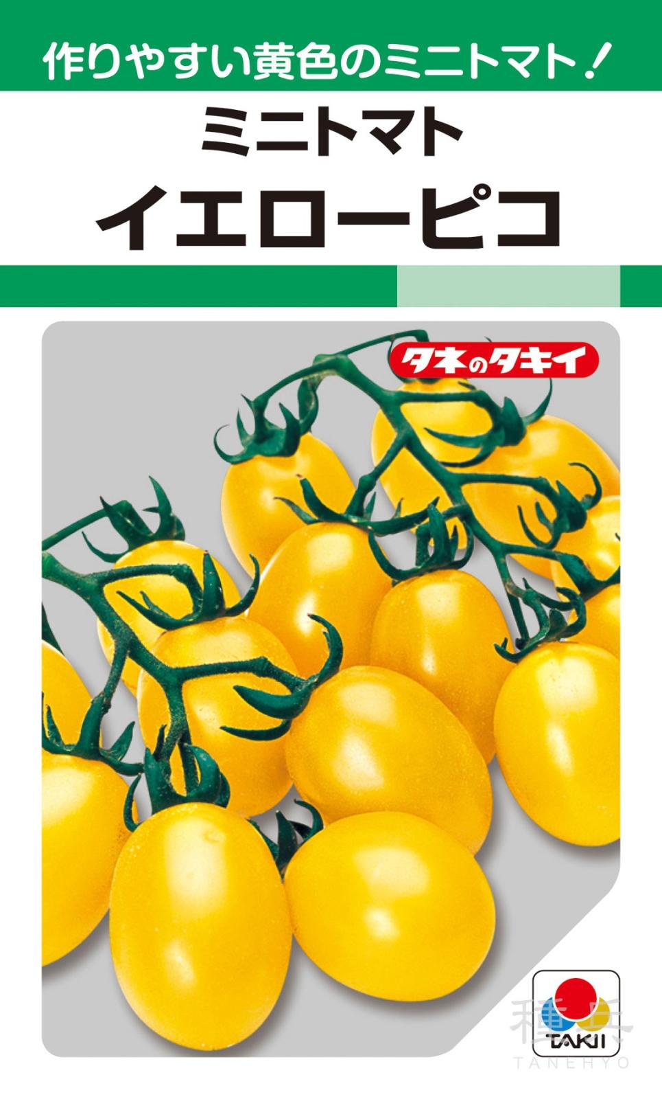 ミニトマト（イエロー） 種 『イエローピコ』 ATM157 タキイ種苗