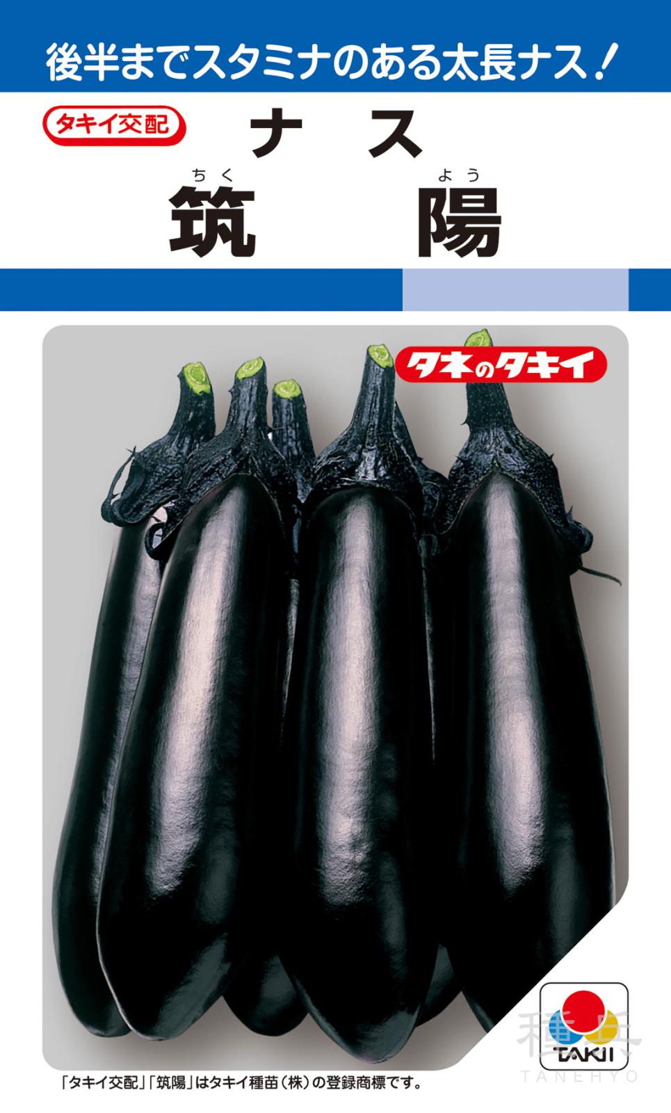 長ナス 種 『筑陽』 ANA024 タキイ種苗 | たね,果菜の種,ナス,中長・長