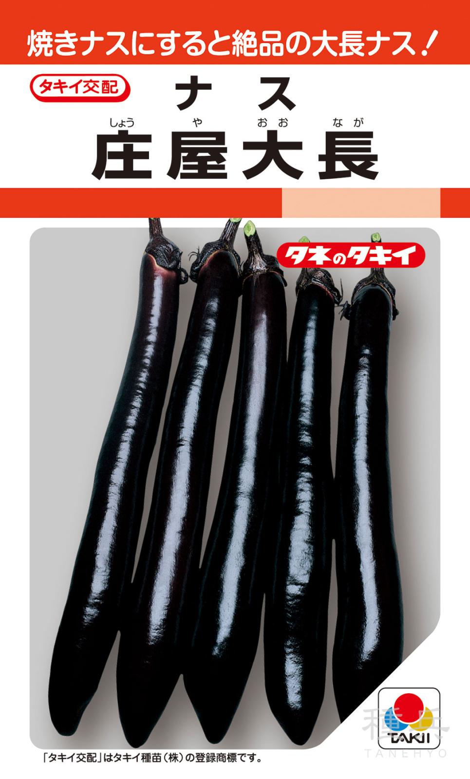 大長ナス 種 『庄屋大長』 ANA025 タキイ種苗 | たね,果菜の種,ナス,大