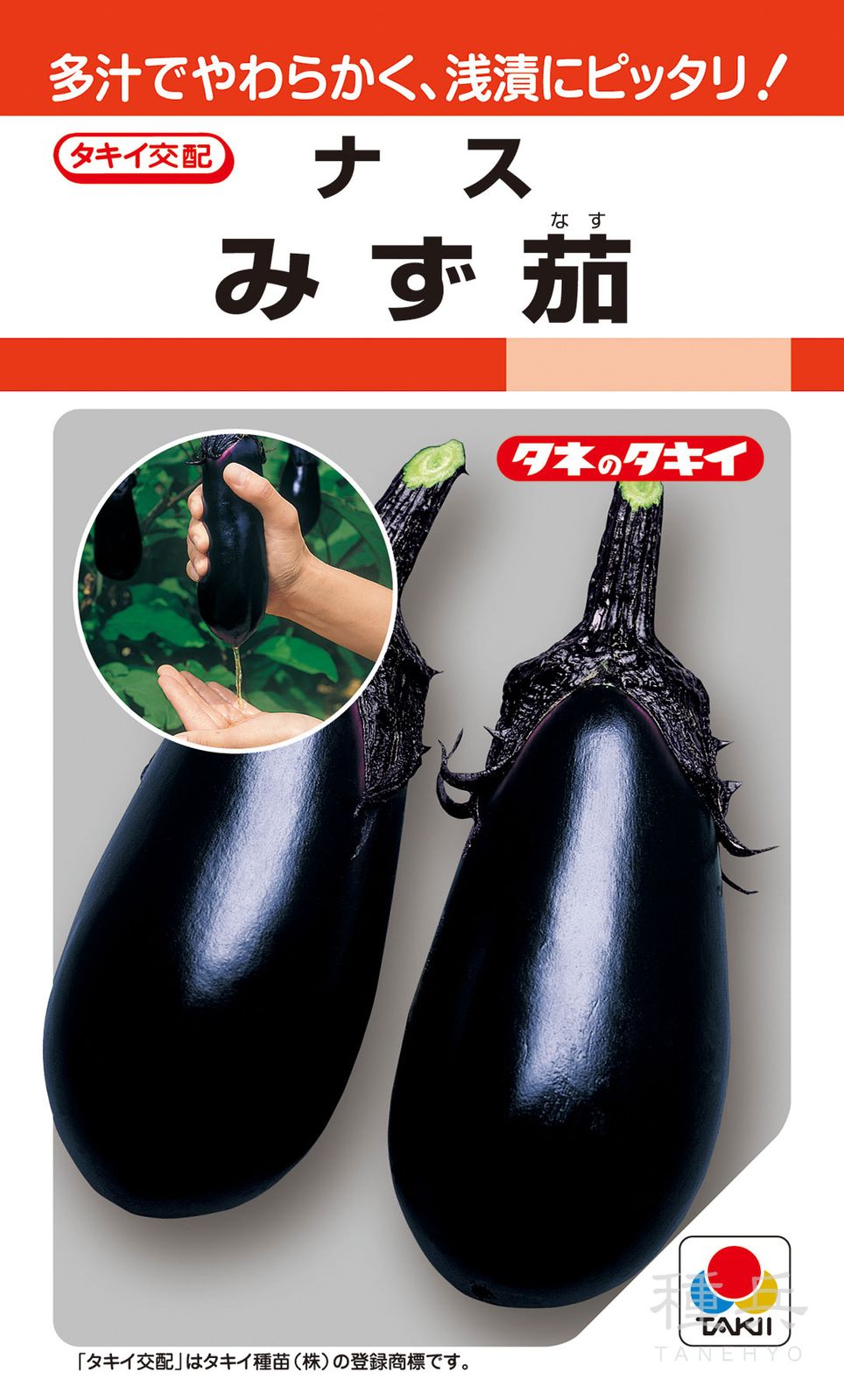 水ナス 種 『みず茄子』 ANA016 タキイ種苗 | たね,果菜の種,ナス,中長