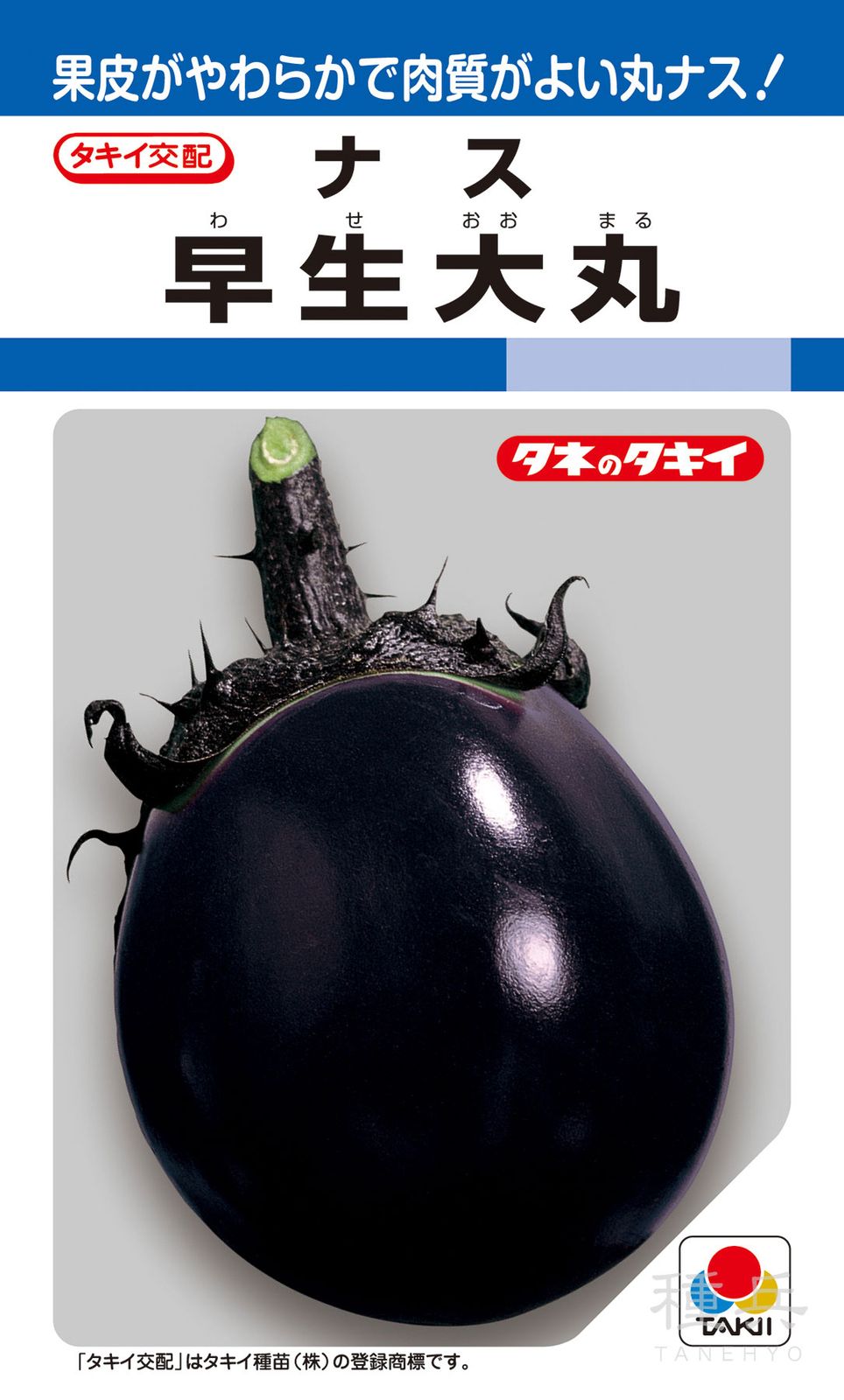 丸茄子（早生大丸）Lサイズ 新潟市北区ブランド茄子 丸ナス 種 『早生大丸』 ANA001 タキイ種苗 | たね,果菜の種,ナス,丸