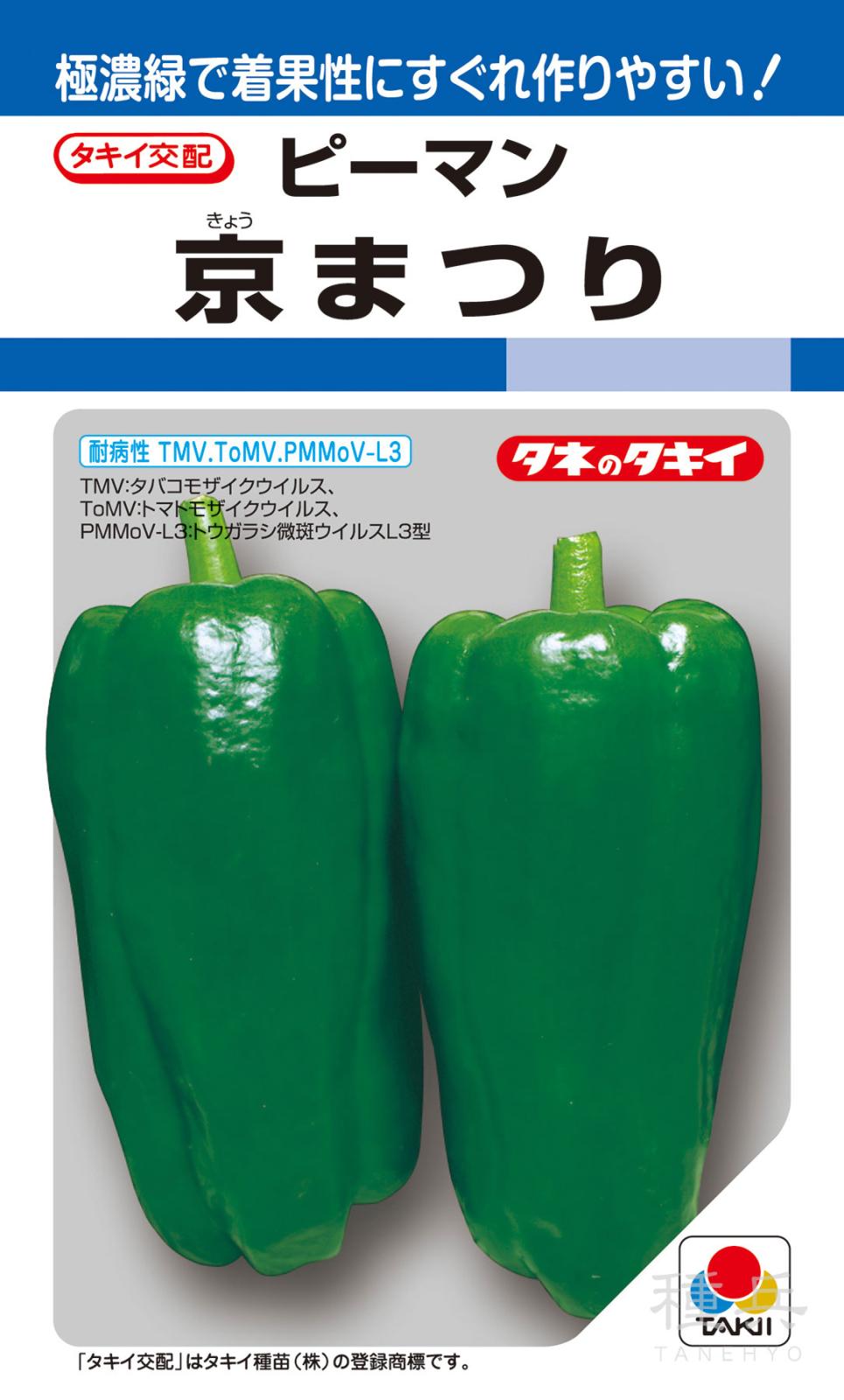 ピーマン（中型） 種 『京まつり』 APE036 タキイ種苗 | たね,果菜の種