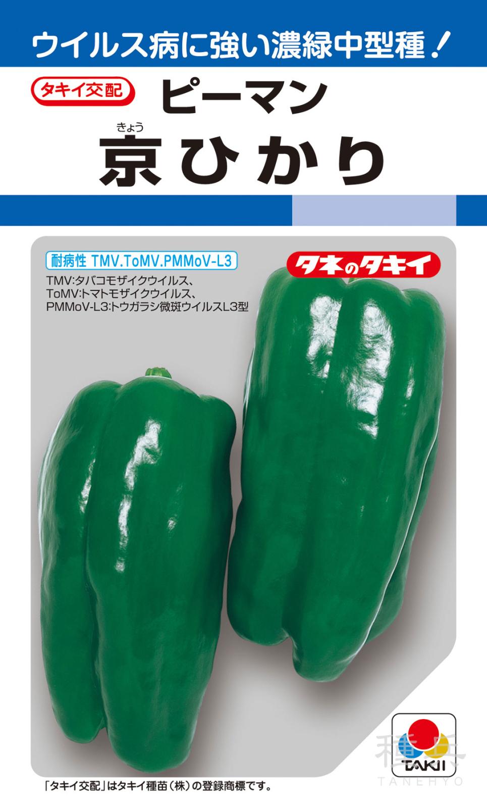 ピーマン（中型） 種 『京ひかり』 APE019 タキイ種苗 | たね,果菜の種