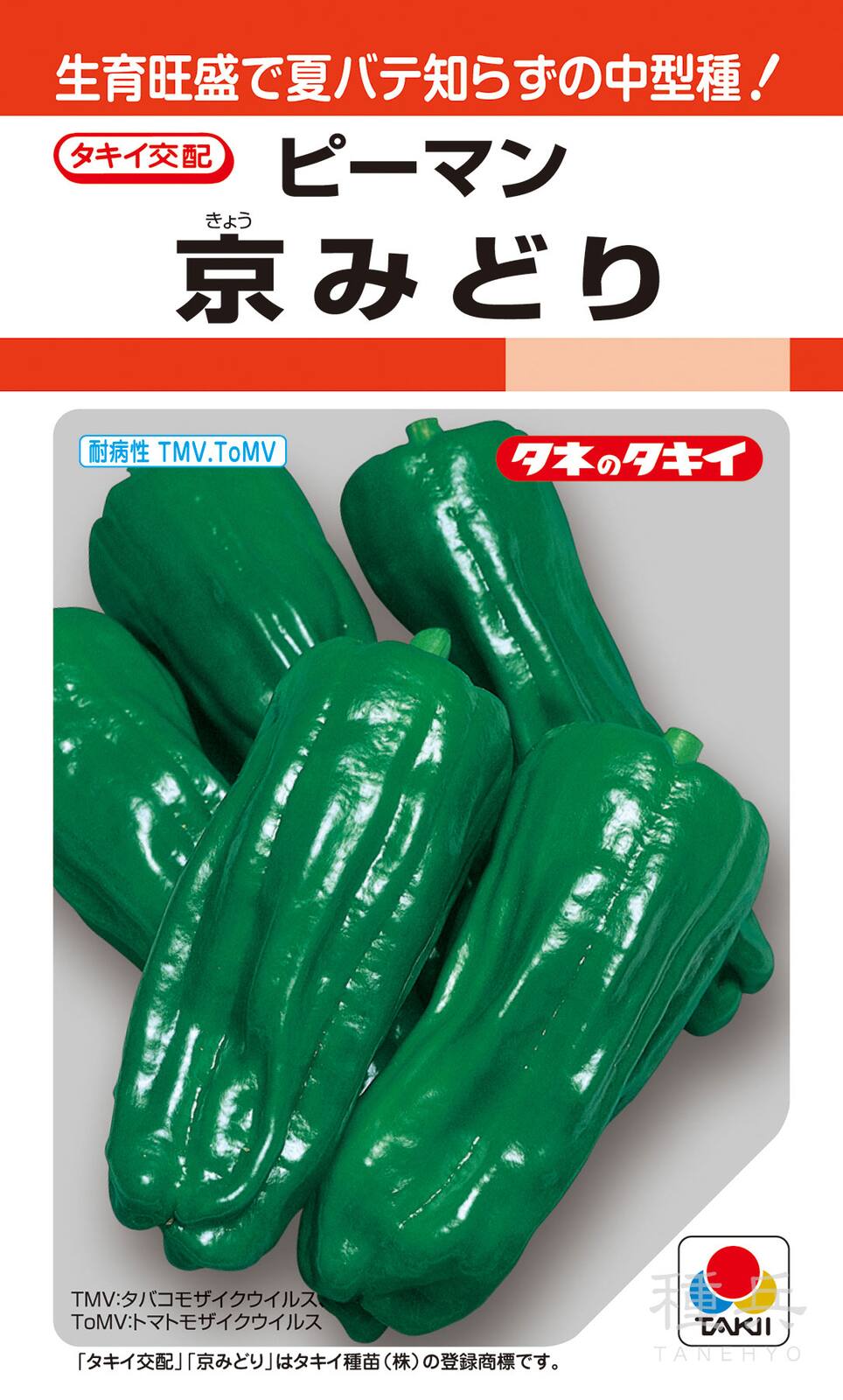 ピーマン（中型） 種 『京みどり』 APE022 タキイ種苗 | たね,果菜の種
