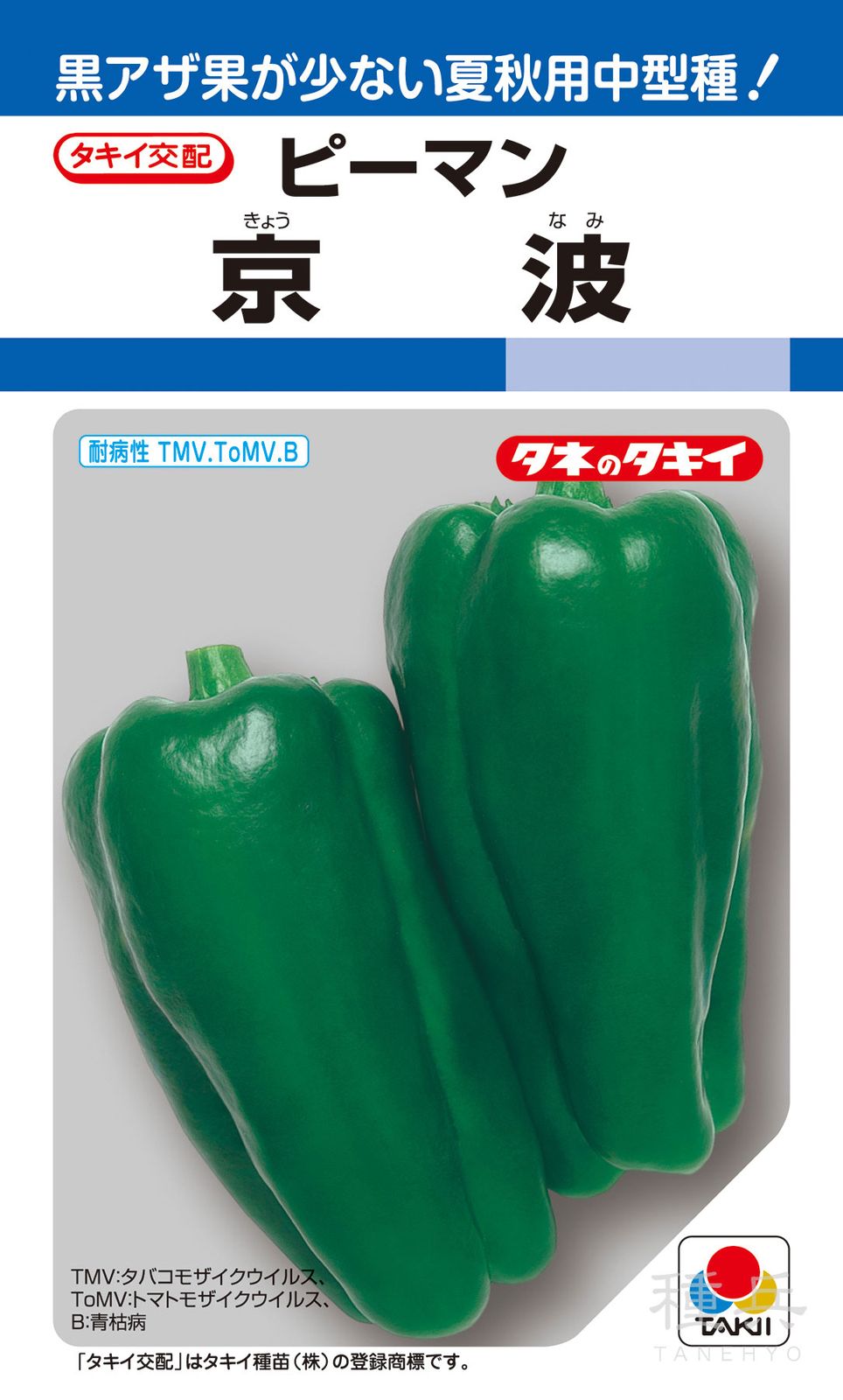 ピーマン（中型） 種 『京波』 APE011 タキイ種苗 | たね,果菜の種
