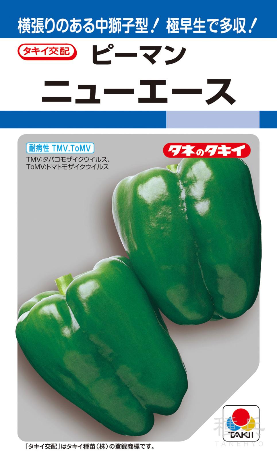 ピーマン（中獅子型） 種 『ニューエース』 APE002 タキイ種苗 | たね