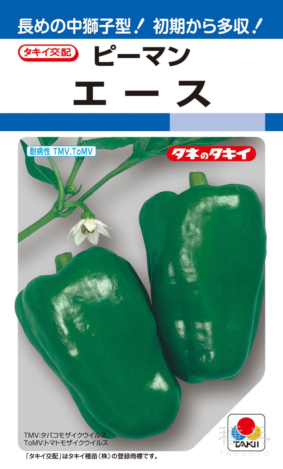 ピーマン（中獅子型） 種 『エース』 APE001 タキイ種苗 | たね,果菜の