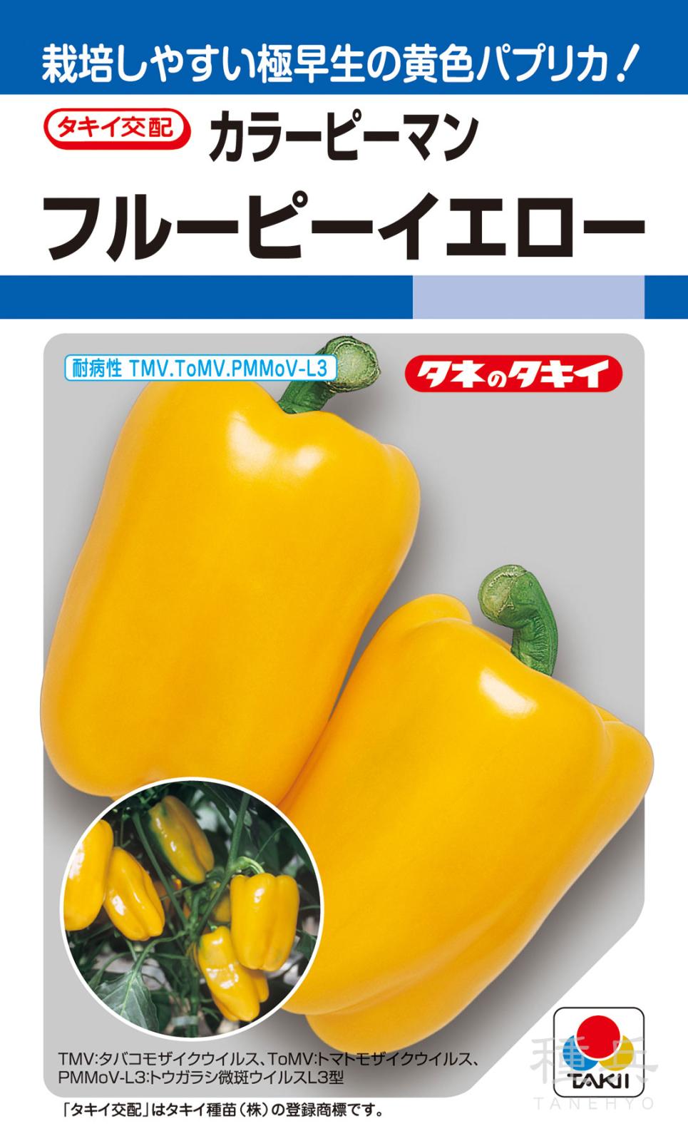 カラーピーマン 種 『フルーピーイエロー』 APE034 タキイ種苗
