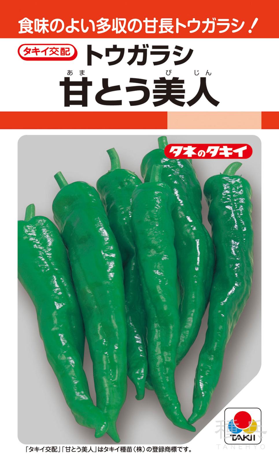 トウガラシ（甘長） 種 『甘とう美人』 APE041 タキイ種苗