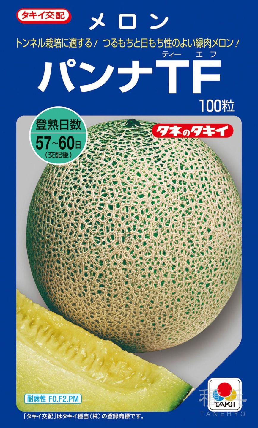 緑肉メロン 種 『パンナTF』 AMA035 タキイ種苗 | たね,果菜の種