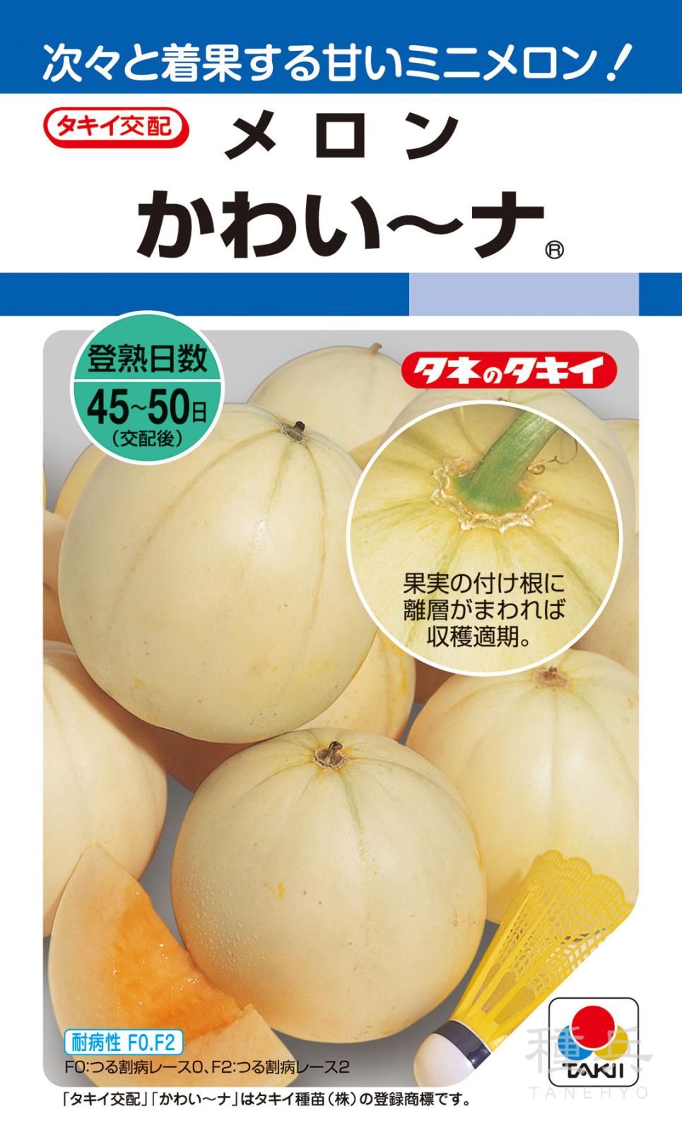ミニメロン 種 『かわい～ナ』 AMA011 タキイ種苗