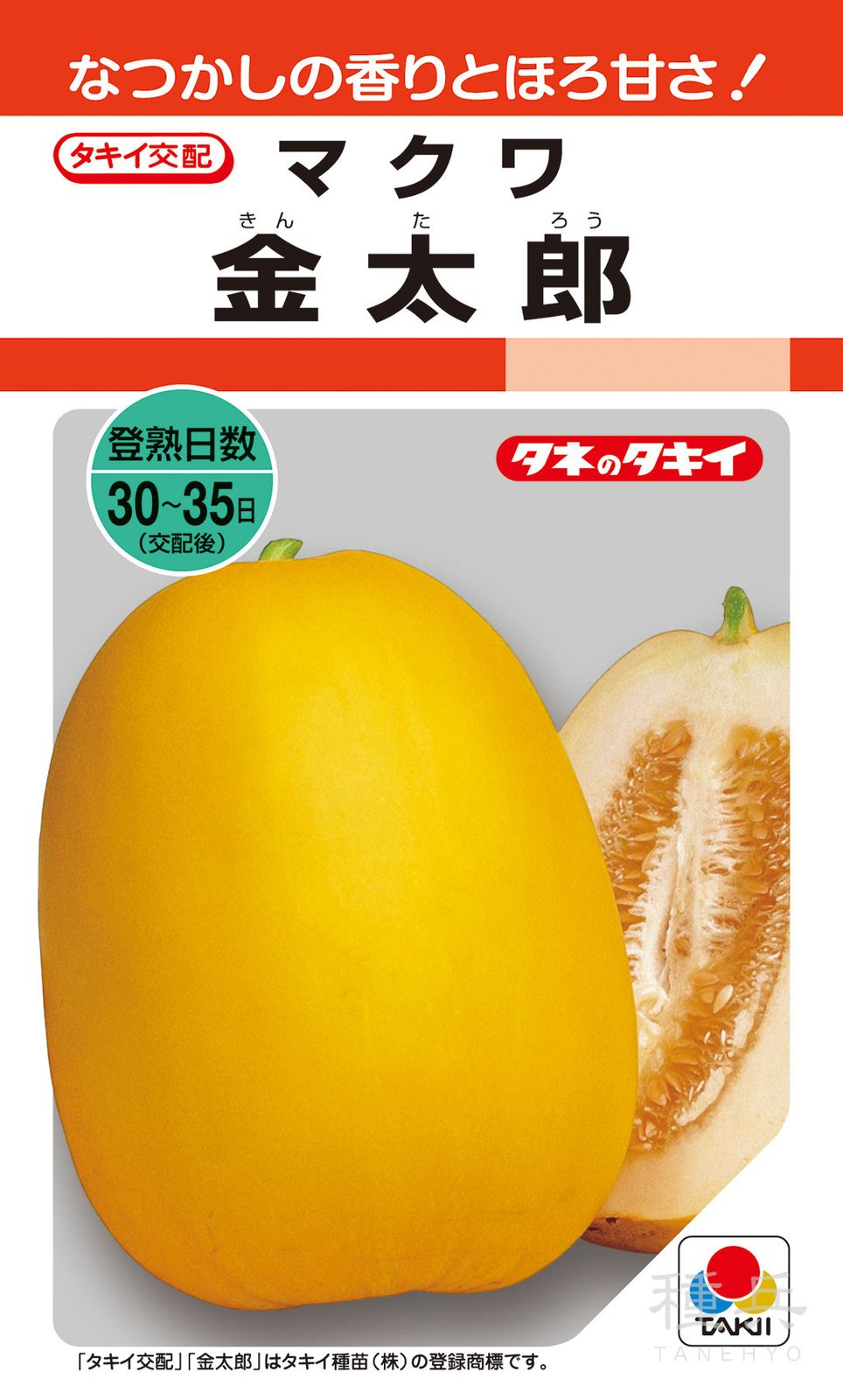 マクワ 種 『金太郎』 AMA002 タキイ種苗