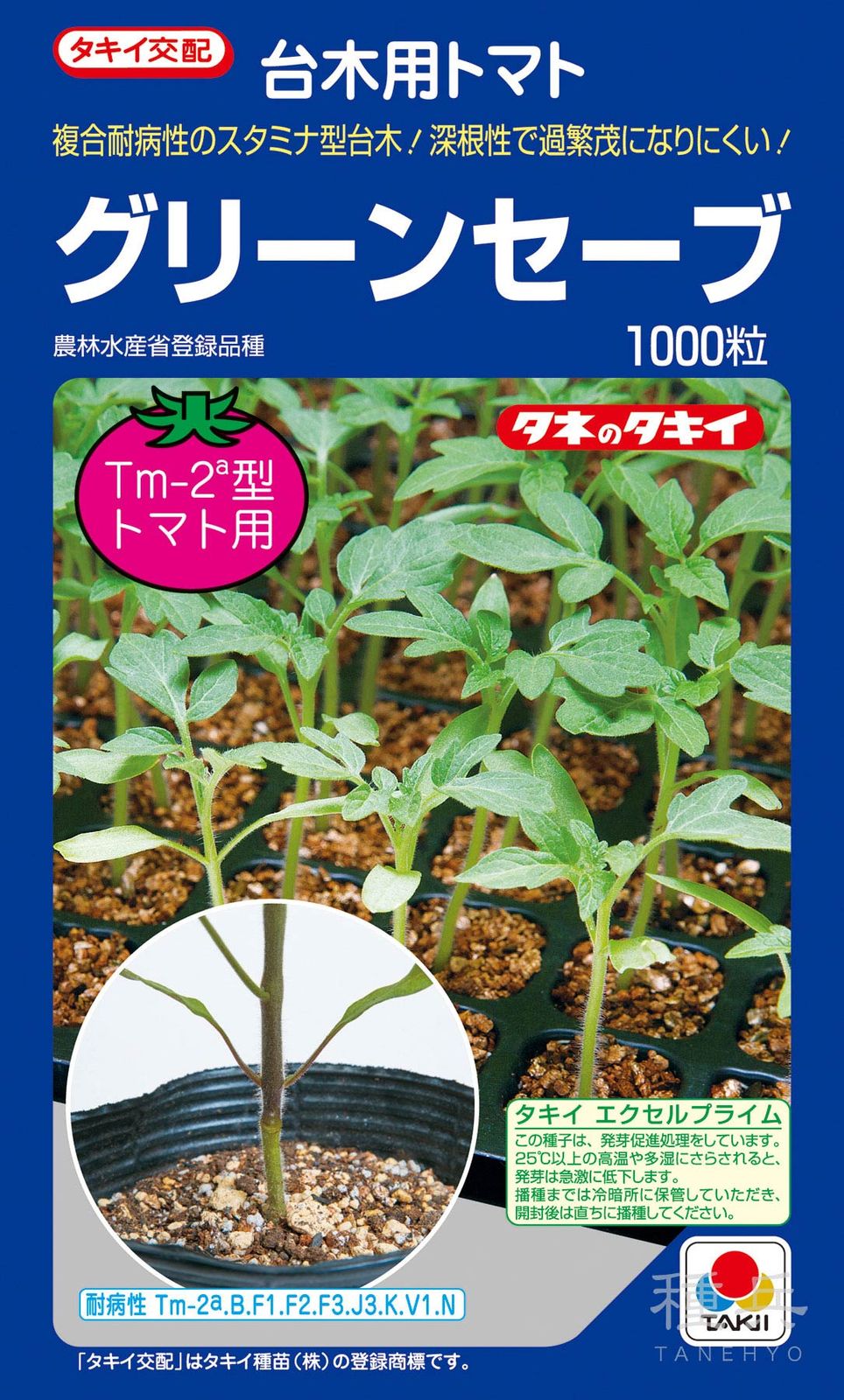 トマト台木 種 『グリーンセーブ』 ATM01Y タキイ種苗 | たね,果菜の種