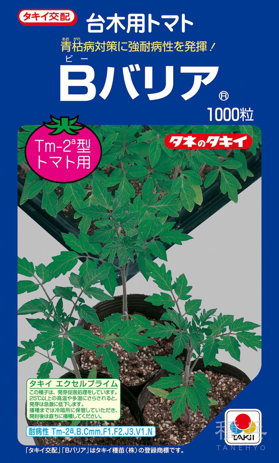 トマト台木 種 『Bバリア』 ATM057 タキイ種苗 | たね,果菜の種,台木用