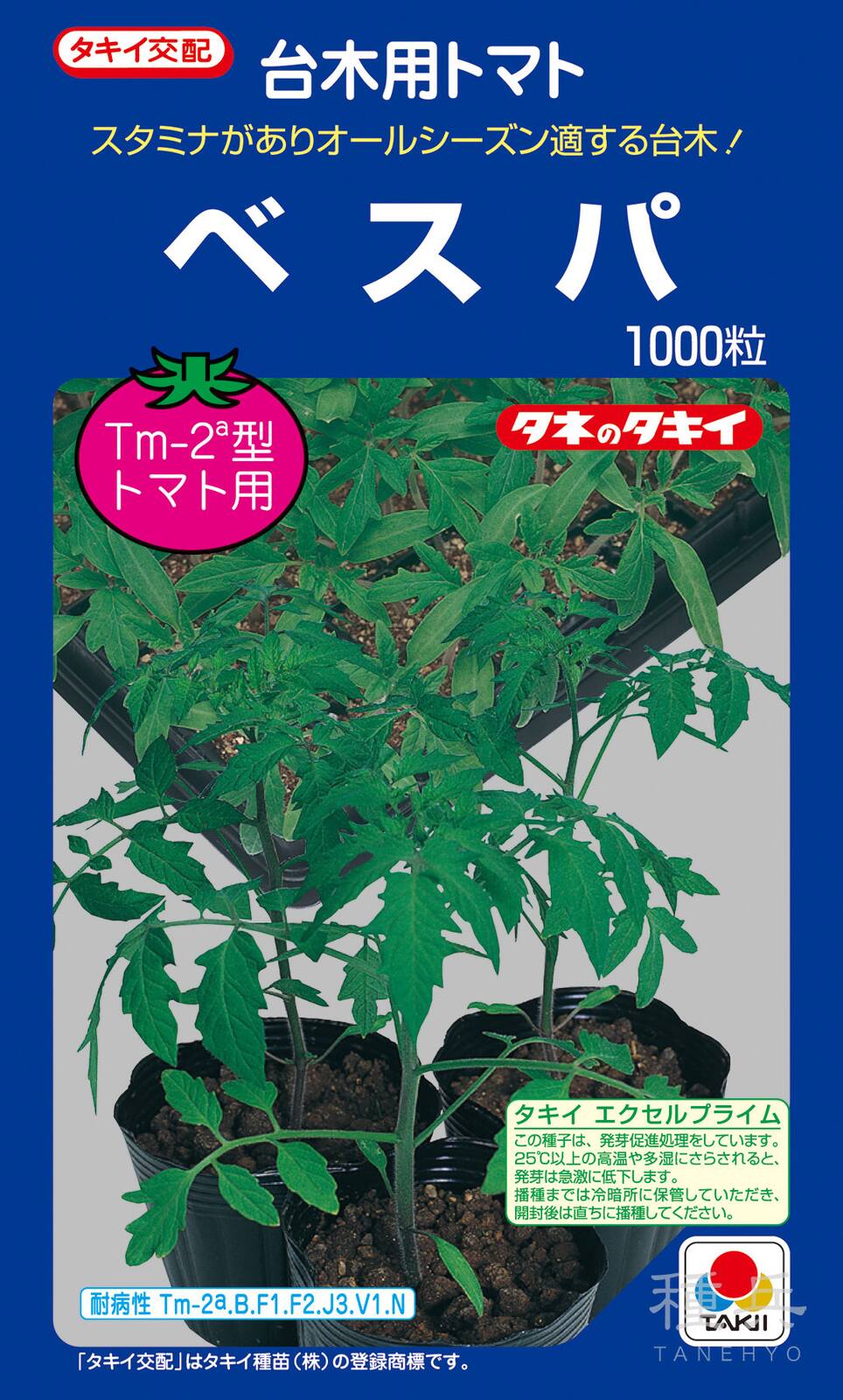 トマト台木 種 『ベスパ』 ATM055 タキイ種苗