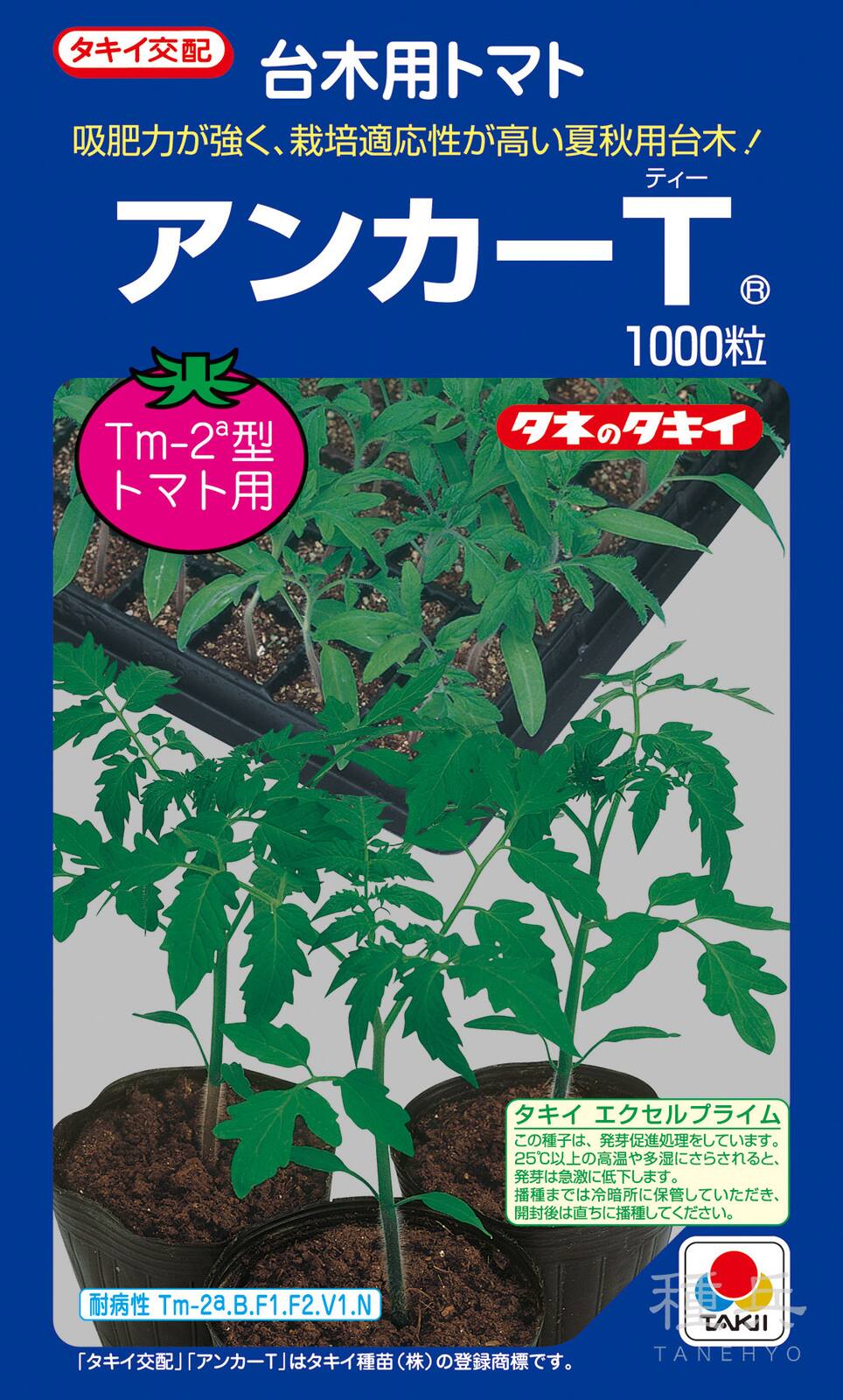 トマト台木 種 『アンカーT』 ATM052 タキイ種苗