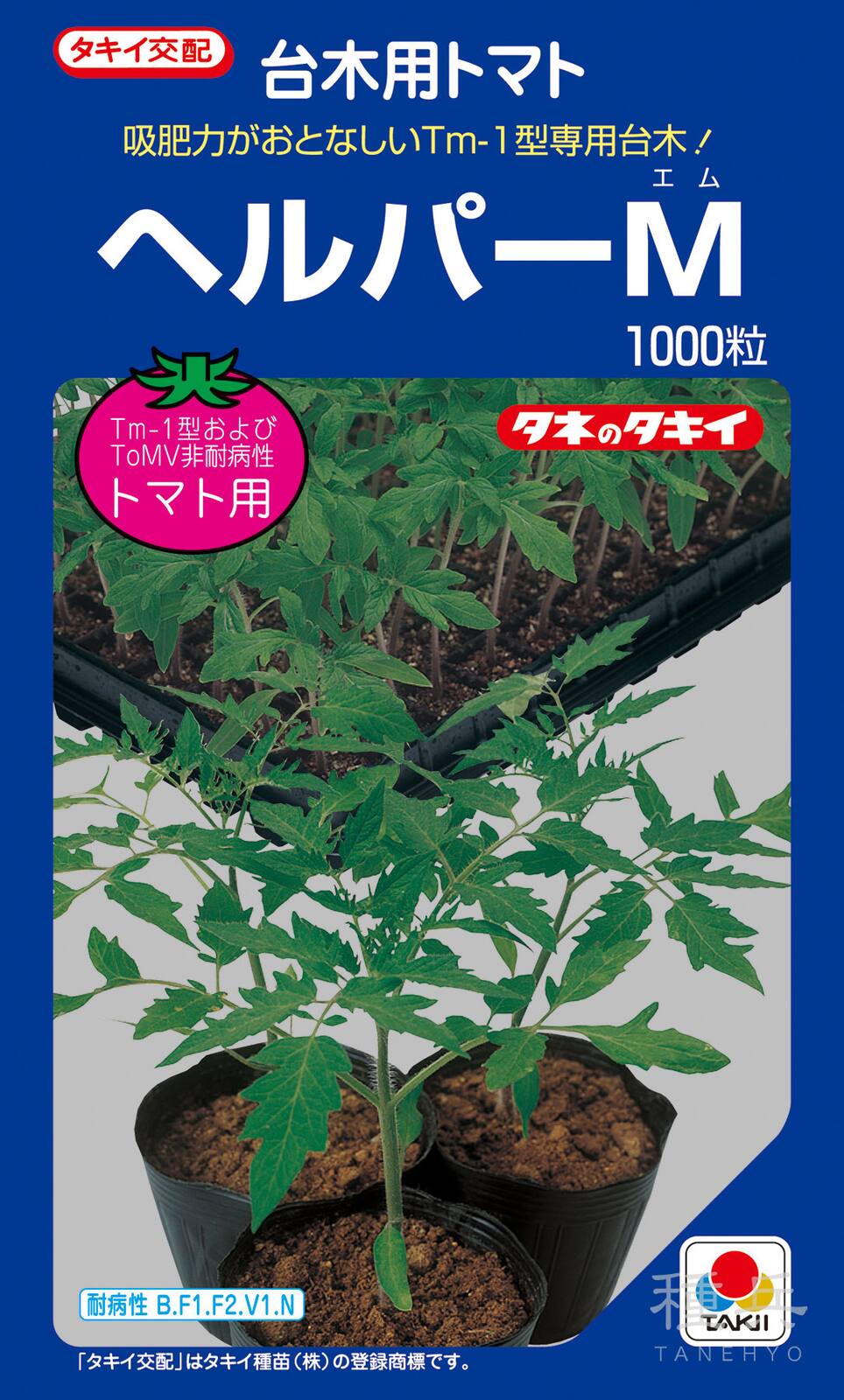 トマト台木 種 『ヘルパーM』 ATM051 タキイ種苗