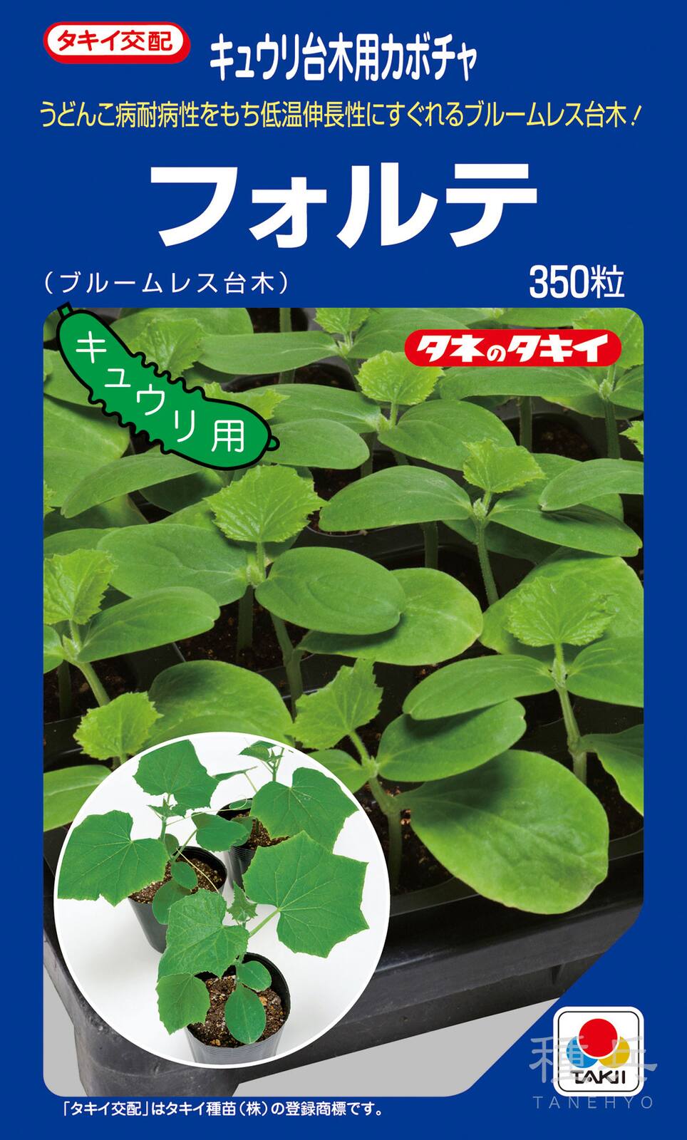 キュウリ台木（ブルームレス） 種 『フォルテ』 ANK054 タキイ種苗
