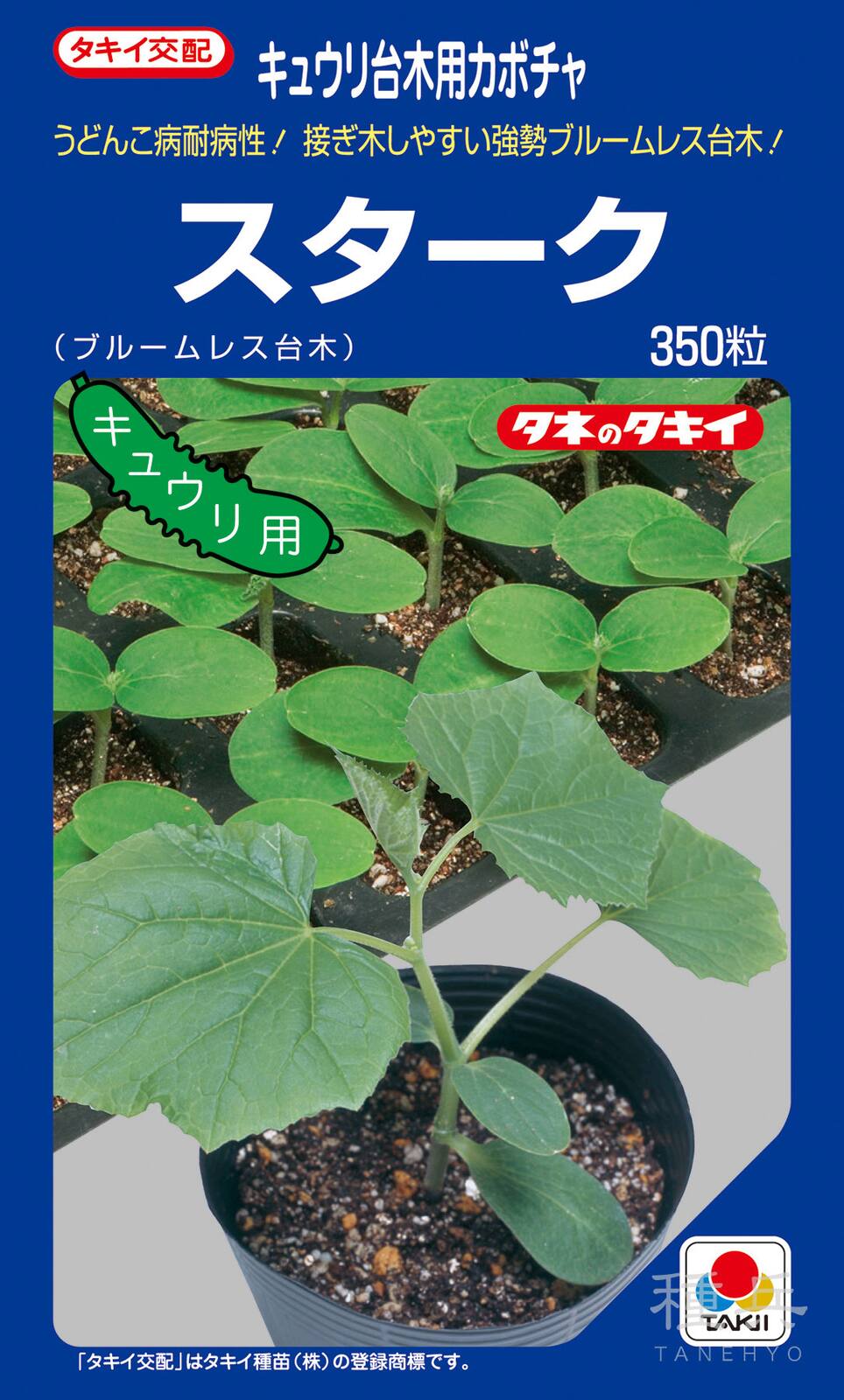 キュウリ台木（ブルームレス） 種 『スターク』 ANK050 タキイ種苗