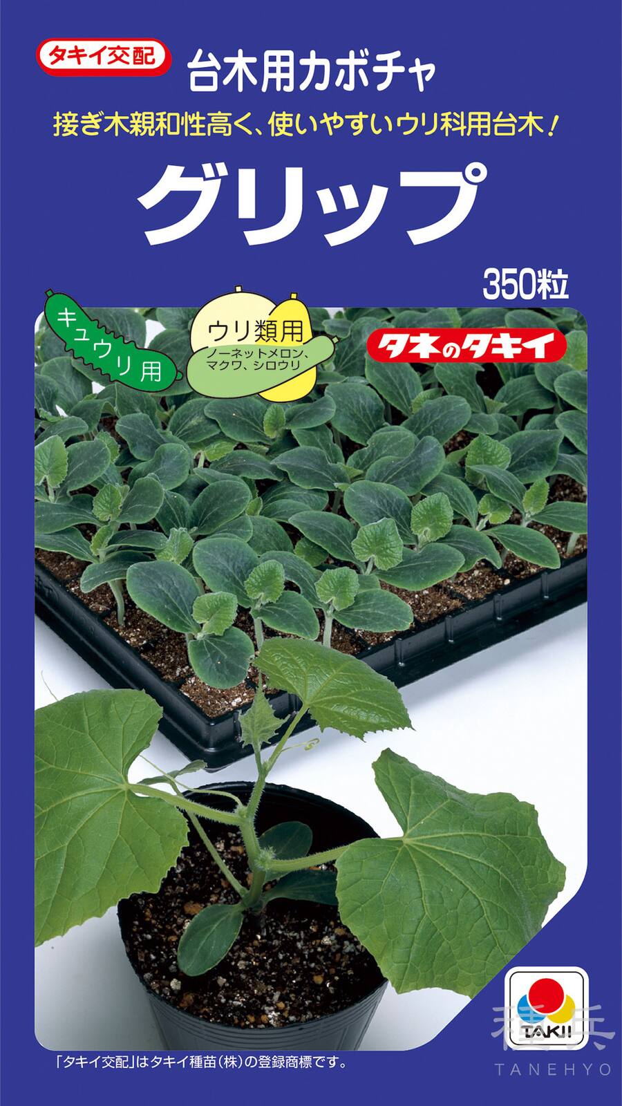キュウリ、メロン用台木 種 『グリップ』 ANK063 タキイ種苗
