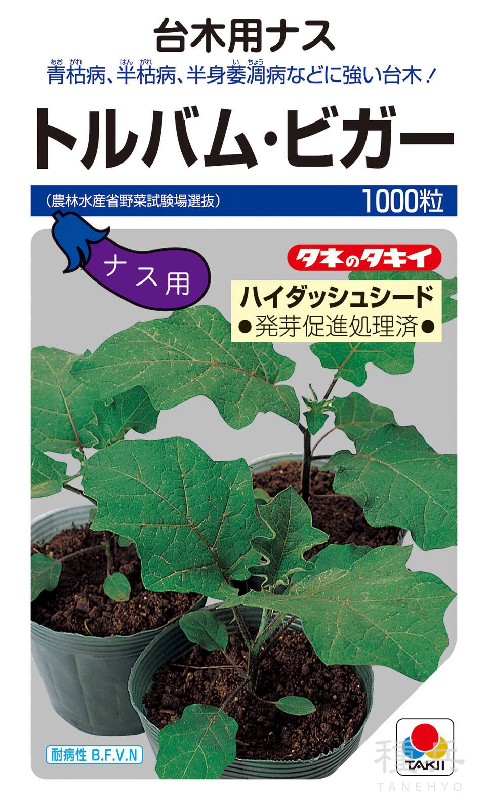 ナス台木 種 『トルバム・ビガー（ハイダッシュシード）』 ANA134 タキイ種苗