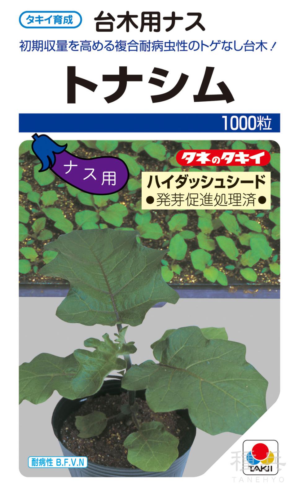 ナス台木 種 『トナシム（ハイダッシュシード）』 ANA139 タキイ種苗