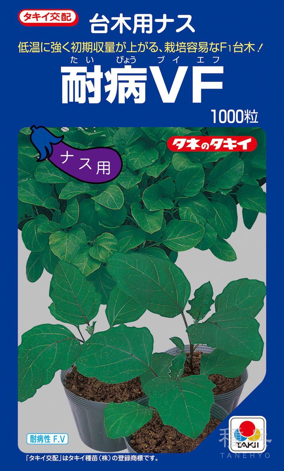 ナス台木 種 『耐病VF』 ANA031 タキイ種苗 | たね,果菜の種,台木用