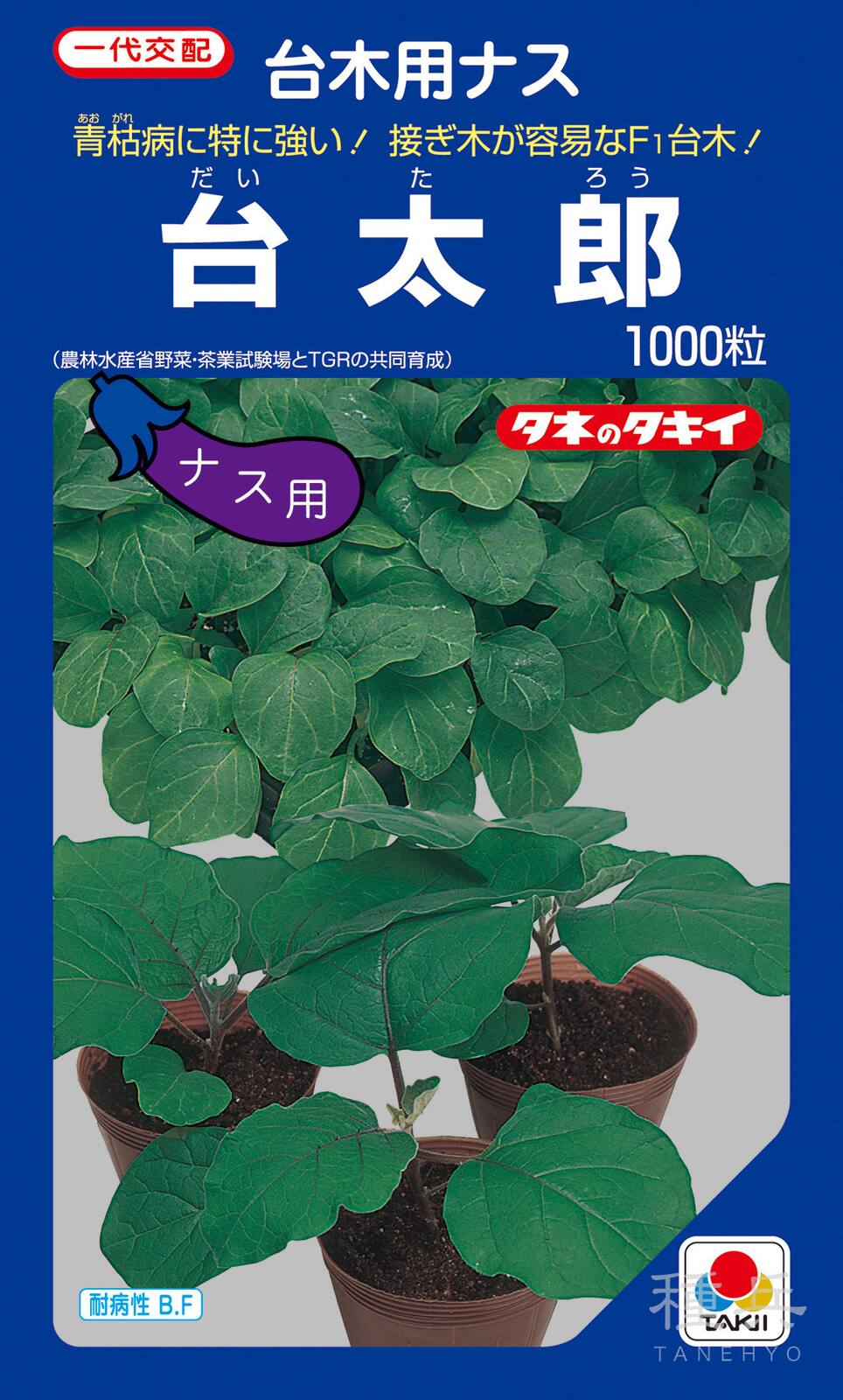 ナス台木 種 『台太郎』 ANA035 タキイ種苗