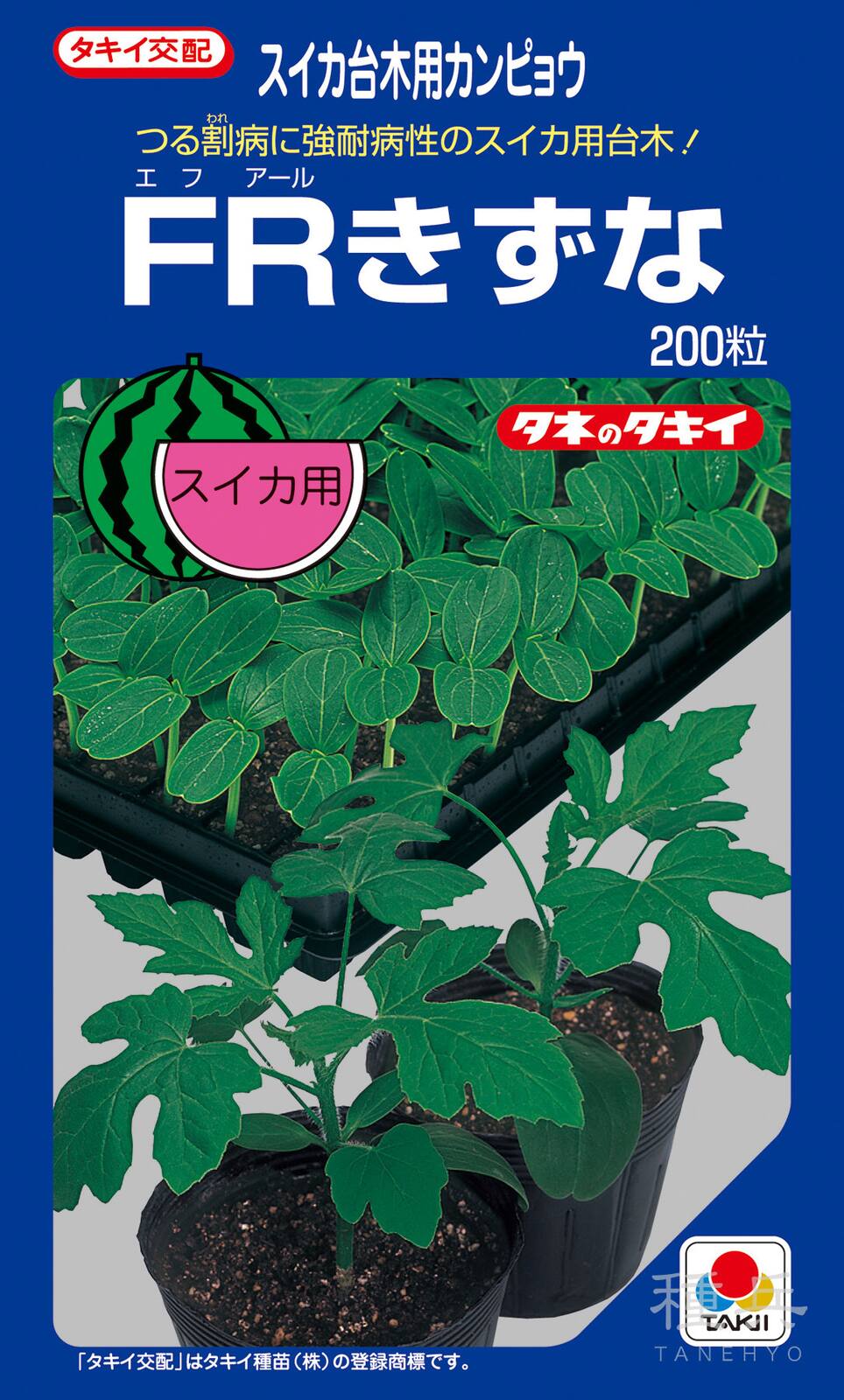 台木用カンピョウ 種 『FRきずな』 AKN001 タキイ種苗