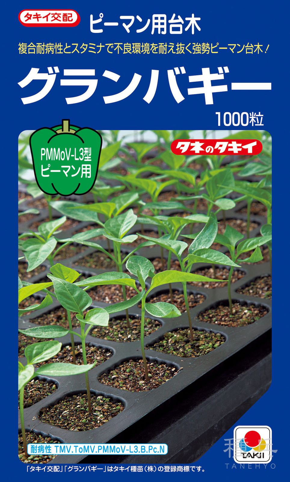 【レア】【初版】樹ぴター ピーマン用台木 種 『グランバギー』 APE07P タキイ種苗 | たね,果菜の
