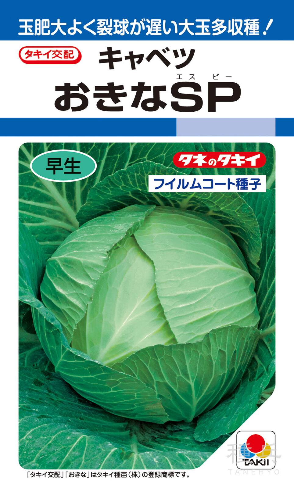 寒玉系夏秋どり 種 『おきなSP』 ACA0E9 タキイ種苗 | たね,葉菜の種