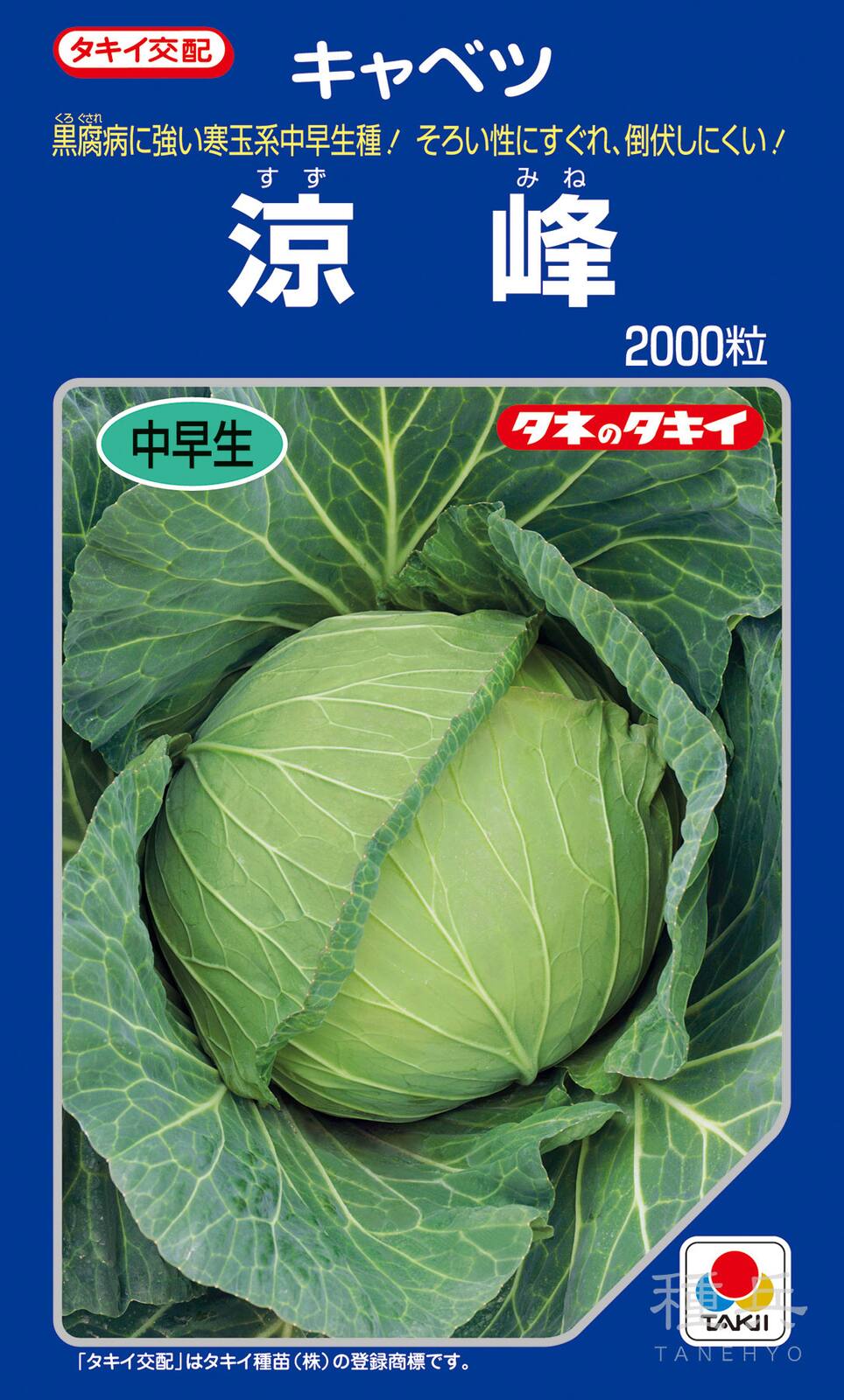 寒玉系初夏どりキャベツ 種 『涼峰』 ACA09P タキイ種苗 | たね,葉菜の