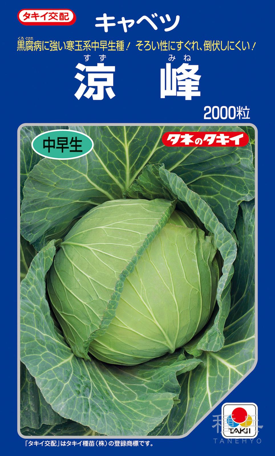 寒玉系初夏どりキャベツ 種 『涼峰』 ACA09P タキイ種苗 | たね,葉菜の
