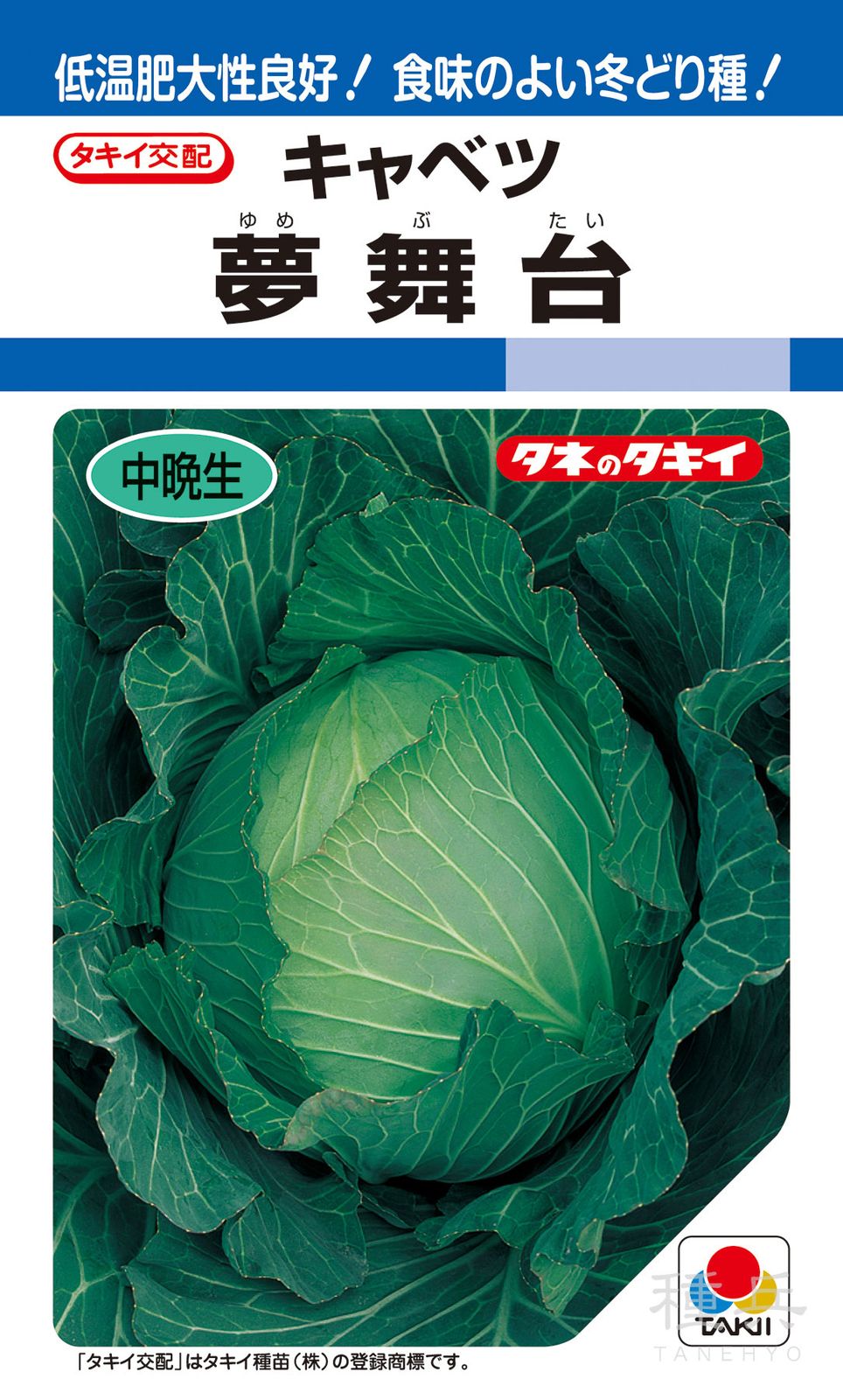 寒玉系冬どりキャベツ 種 『夢舞台』 ACA00G タキイ種苗 | たね,葉菜の