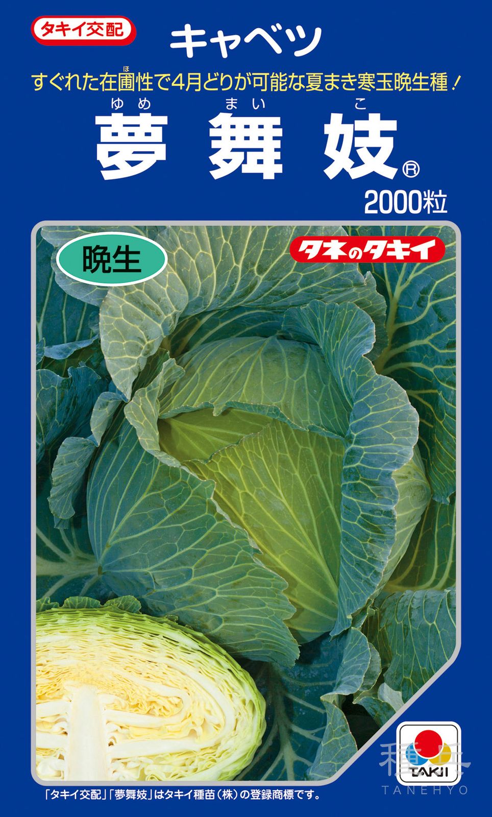 寒玉系冬どりキャベツ 種 『夢舞妓』 ACA0A4 タキイ種苗 | たね,葉菜の