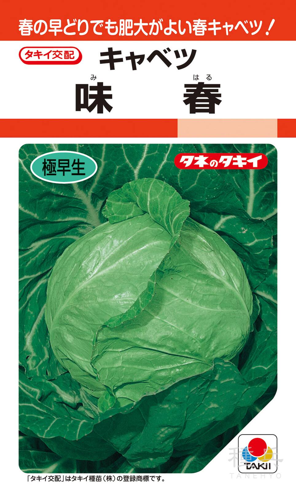 春系及び春キャベツ 種 『味春』 ACA052 タキイ種苗 | たね,葉菜の種