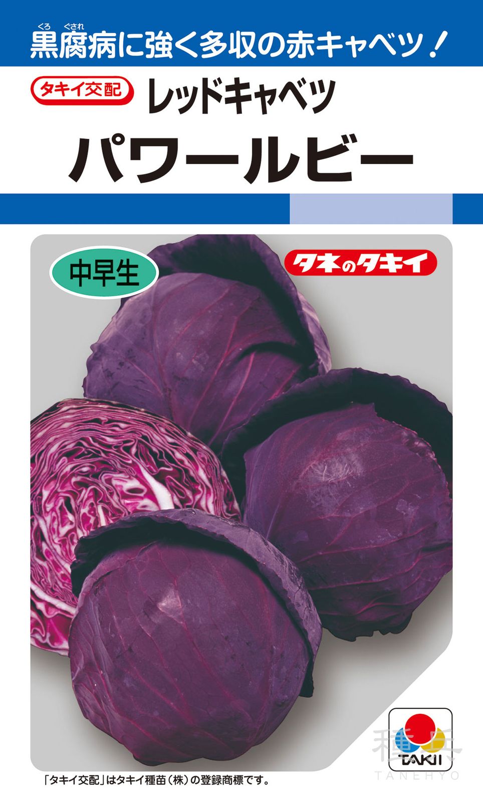 たね,葉菜の種,キャベツ,赤キャベツ | 種兵ネットショッピング