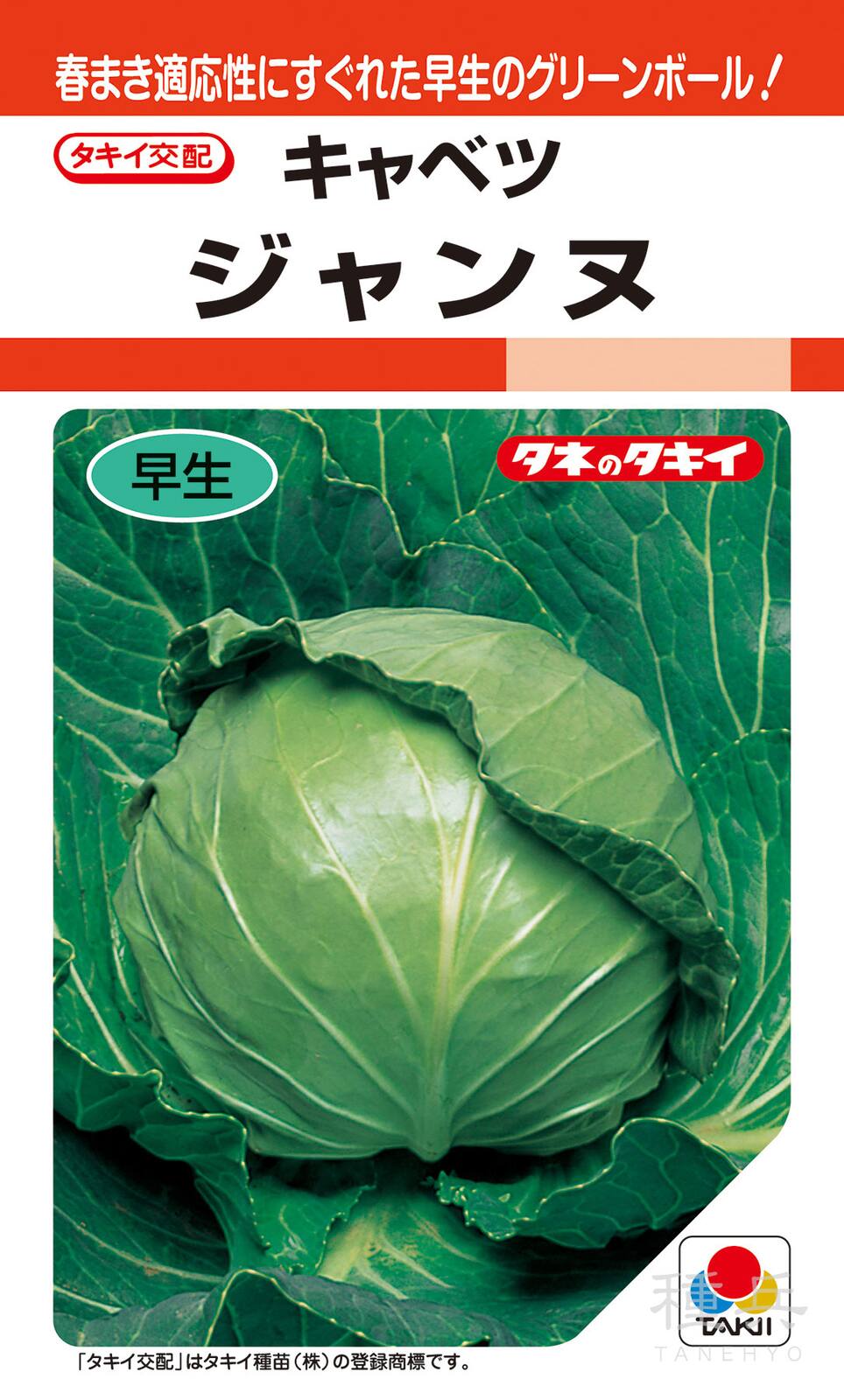 グリーンボール 種 『ジャンヌ』 ACA087 タキイ種苗 | たね,葉菜の種