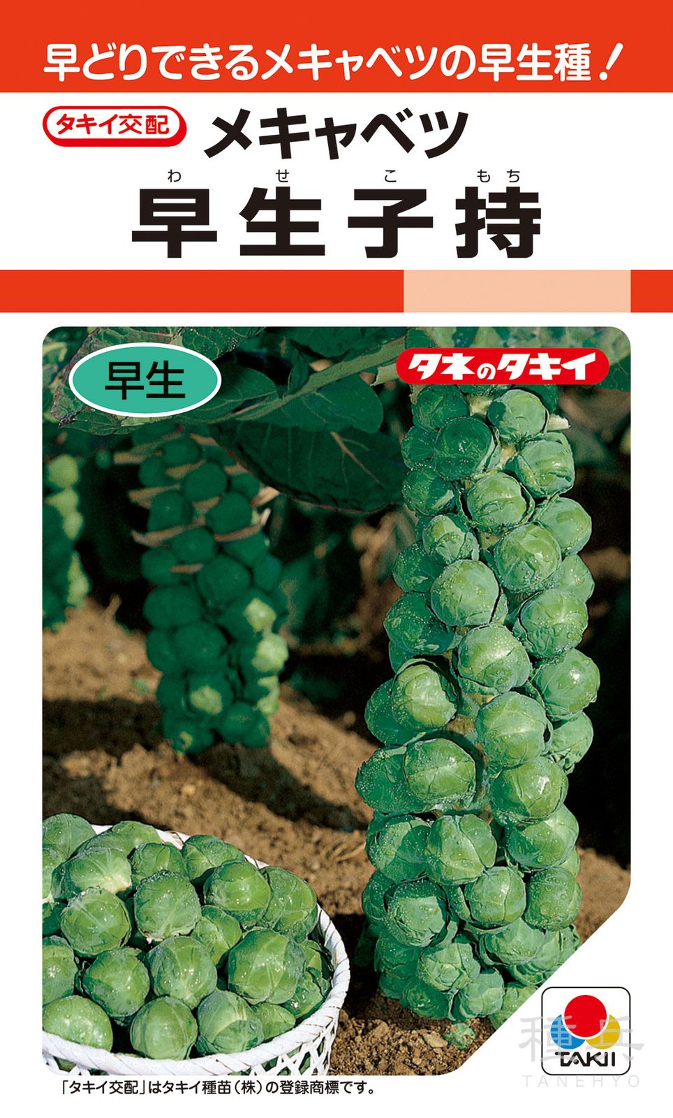 メキャベツ 種 『早生子持』 ACB001 タキイ種苗 | たね,葉菜の種