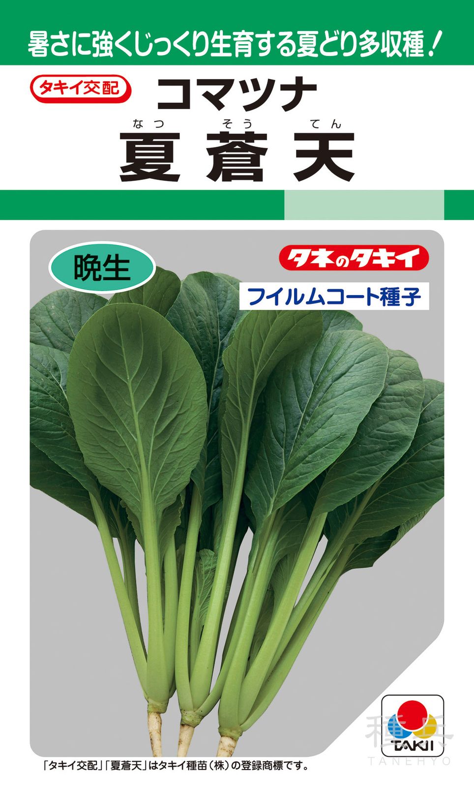 コマツナ 種 『夏蒼天』 ATU02Y タキイ種苗 | たね,葉菜の種,コマツナ