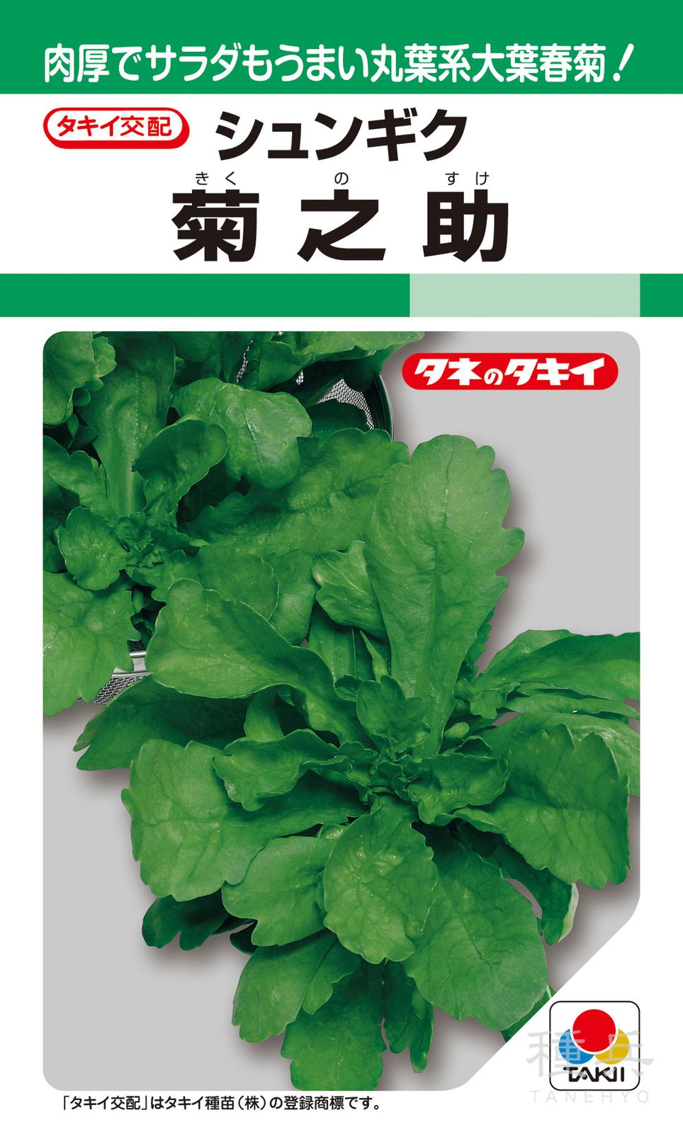 株張りシュンギク 種 『菊之助』 ASN002 タキイ種苗